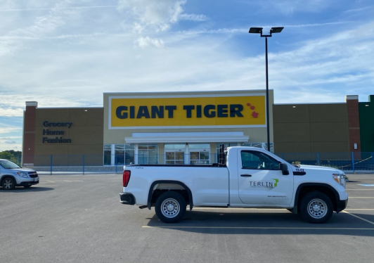 Giant Tiger