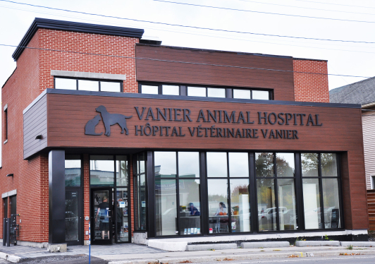 Vanier Animal Hospital